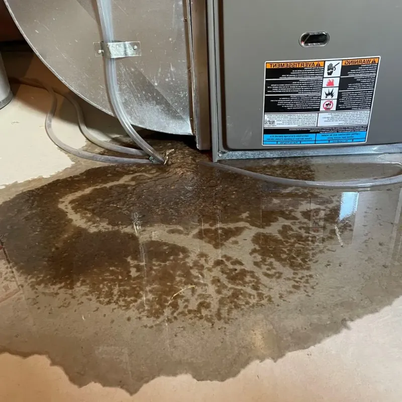 Pipe Burst and Leak Restoration in Koreatown, CA